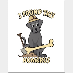 I found this humerus - big black dog Posters and Art